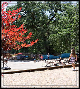 students playing on the playground